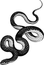 Иллюстрация к книге — Король Вечности [i_006.webp]