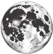 Иллюстрация к книге — Ночь масок и ножей [i_011.webp]