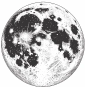 Иллюстрация к книге — Ночь масок и ножей [i_038.webp]