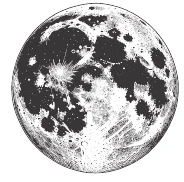 Иллюстрация к книге — Ночь масок и ножей [i_070.webp]