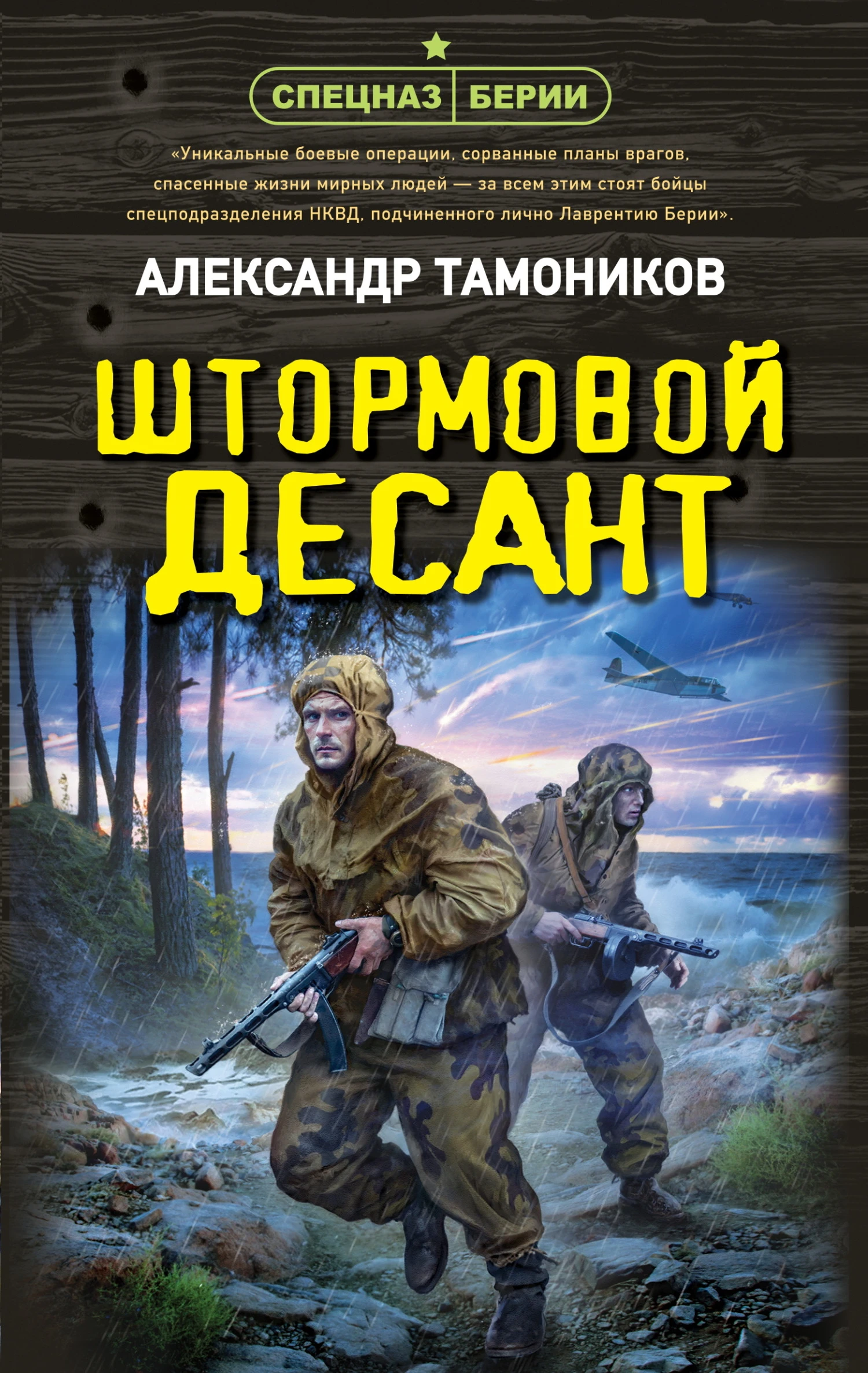 Книга Штормовой десант