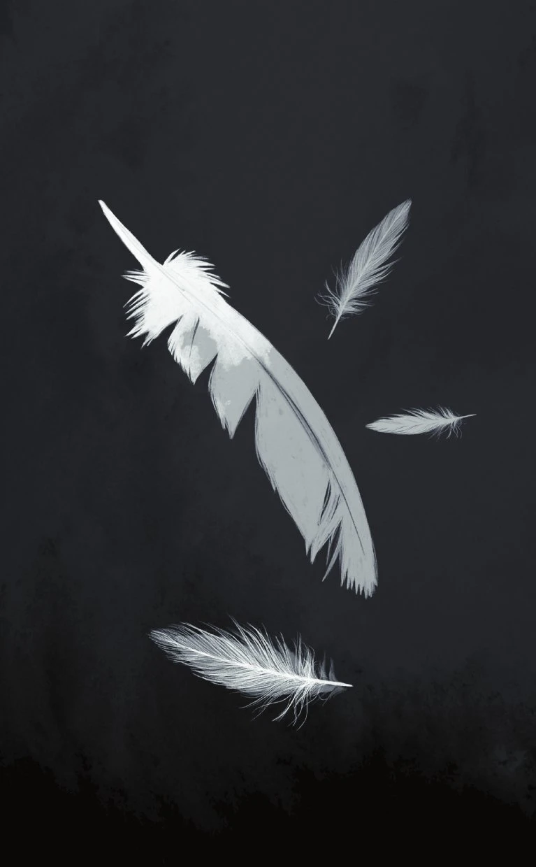 Иллюстрация к книге — Пыльные перья [i_004.webp]