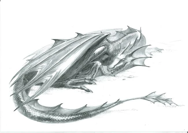 Иллюстрация к книге — Закон дитто [i_052.webp]