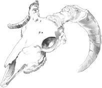 Иллюстрация к книге — Цукумогами. Невидимые беды [i_013.webp]