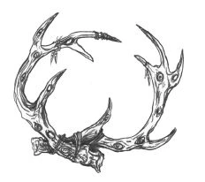 Иллюстрация к книге — Безмолвный Крик [i_005.webp]