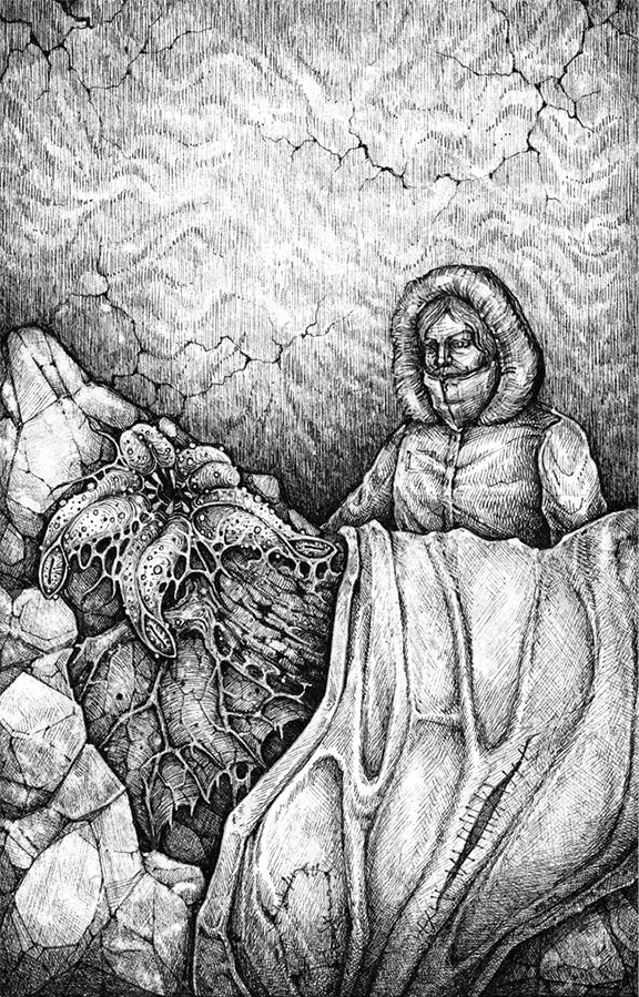 Иллюстрация к книге — Размножение [i_003.webp]