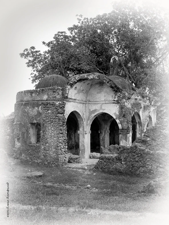 Иллюстрация к книге — Танзания без тормозов, или Вынос мозга по-африкански. Записки путешественника [book-illustration-14.webp]