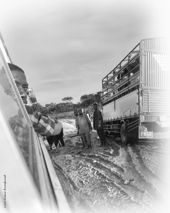 Иллюстрация к книге — Танзания без тормозов, или Вынос мозга по-африкански. Записки путешественника [book-illustration-16.webp]