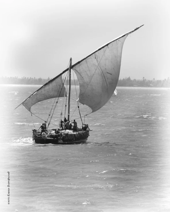 Иллюстрация к книге — Танзания без тормозов, или Вынос мозга по-африкански. Записки путешественника [book-illustration-18.webp]