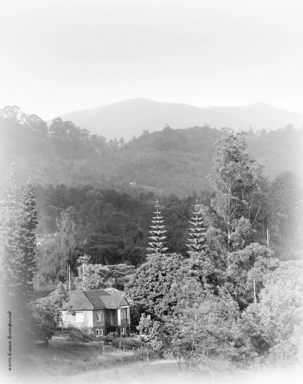 Иллюстрация к книге — Танзания без тормозов, или Вынос мозга по-африкански. Записки путешественника [book-illustration-24.webp]