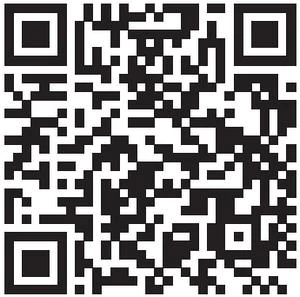 Иллюстрация к книге — Неуловимая звезда Сен-Жермена [i_002.webp]