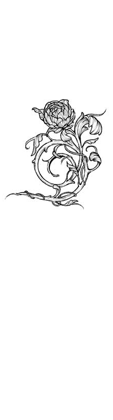 Иллюстрация к книге — Дочь врага [book-illustration.webp]