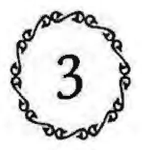 Иллюстрация к книге — Прошлое и будущее [book-illustration-2.webp]