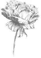 Иллюстрация к книге — Этот безумный пролог никогда не закончится. Том 1 [i_005.webp]