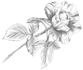 Иллюстрация к книге — Этот безумный пролог никогда не закончится. Том 1 [i_007.webp]