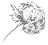 Иллюстрация к книге — Этот безумный пролог никогда не закончится. Том 1 [i_012.webp]