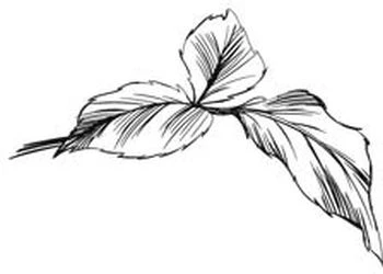 Иллюстрация к книге — Этот безумный пролог никогда не закончится. Том 2 [i_005.webp]