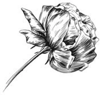 Иллюстрация к книге — Этот безумный пролог никогда не закончится. Том 2 [i_008.webp]