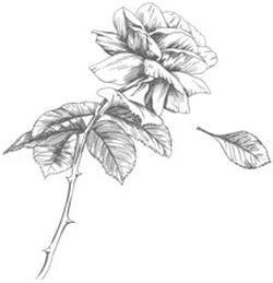 Иллюстрация к книге — Этот безумный пролог никогда не закончится. Том 3 [i_004.webp]