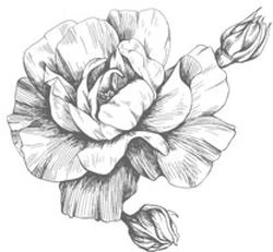 Иллюстрация к книге — Этот безумный пролог никогда не закончится. Том 3 [i_005.webp]