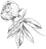 Иллюстрация к книге — Этот безумный пролог никогда не закончится. Том 3 [i_008.webp]