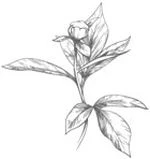 Иллюстрация к книге — Этот безумный пролог никогда не закончится. Том 3 [i_015.webp]