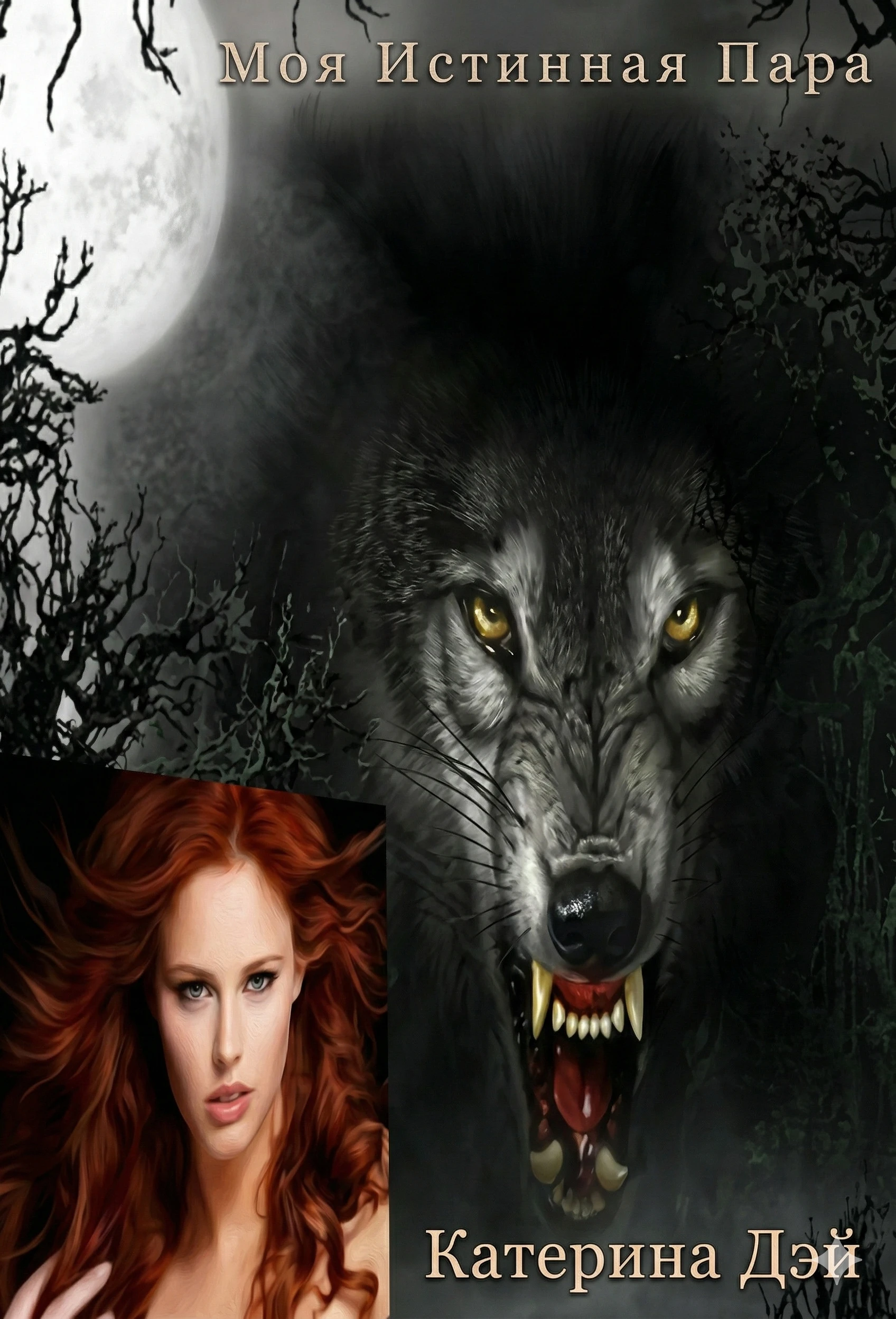 Книга Моя Истинная Пара