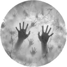 Иллюстрация к книге — Грани безумия [i_001.webp]