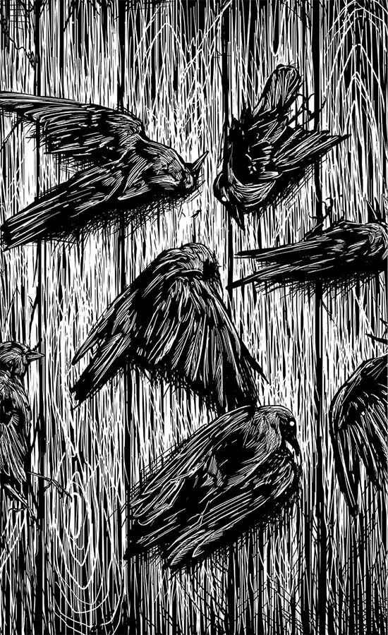 Иллюстрация к книге — Озеро призраков [i_011.webp]