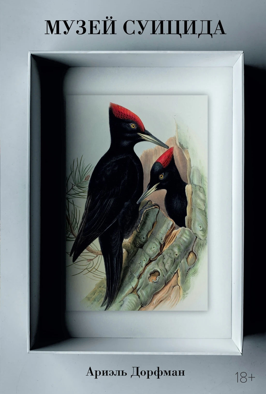 Книга Музей суицида