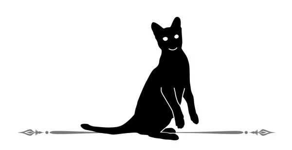 Иллюстрация к книге — Расследования графа Аверина. Комплект из 3 книг [i_007.webp]