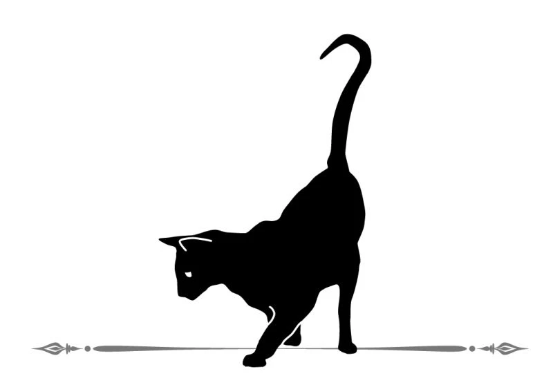 Иллюстрация к книге — Граф Аверин [i_003.webp]