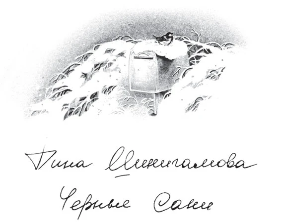 Иллюстрация к книге — Зимняя почта [book-illustration-7.webp]