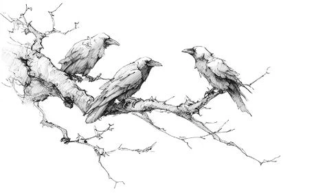 Иллюстрация к книге — Ведьма Вороньего леса [i_011.webp]