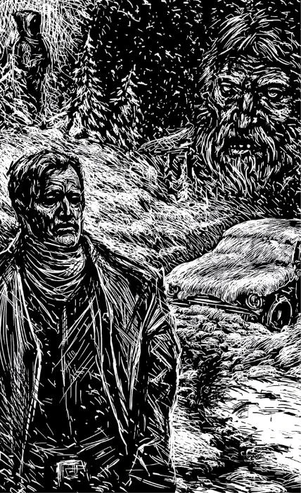 Иллюстрация к книге — Снег [book-illustration-2.webp]