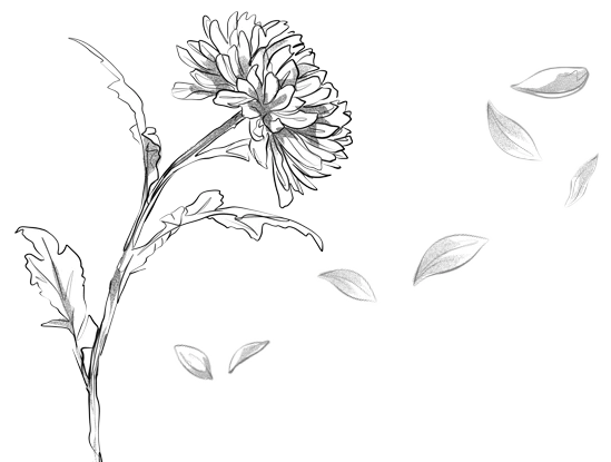 Иллюстрация к книге — Надеюсь, увидимся еще не скоро [i_001.webp]