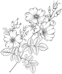 Иллюстрация к книге — Свет в тёмной башне [i_003.webp]