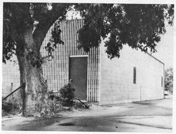 Иллюстрация к книге — Тед. Настоящая история самого знаменитого серийного убийцы Америки. Книга I [book-illustration-47.webp]