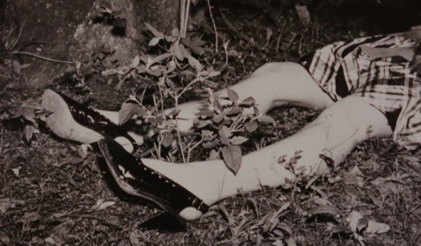 Иллюстрация к книге — Сыны Сэма. Убийцы влюбленных парочек [book-illustration-132.webp]