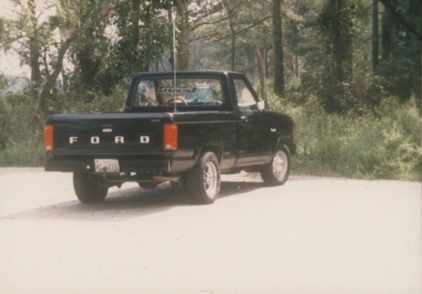 Иллюстрация к книге — Сыны Сэма. Убийцы влюбленных парочек [book-illustration-59.webp]