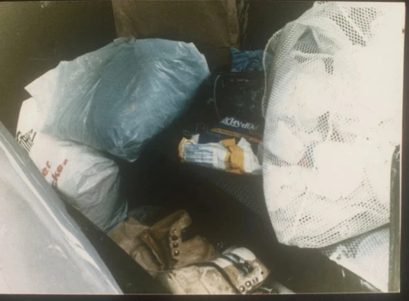 Иллюстрация к книге — Сыны Сэма. Убийцы влюбленных парочек [book-illustration-82.webp]