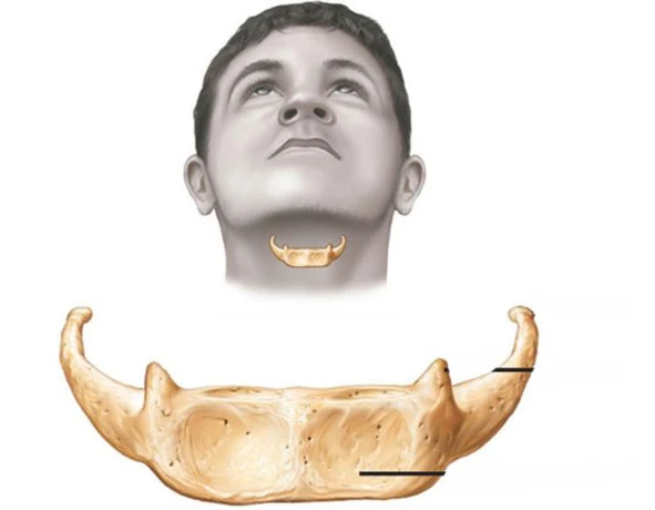 Иллюстрация к книге — Сыны Сэма. Убийцы влюбленных парочек [book-illustration-85.webp]