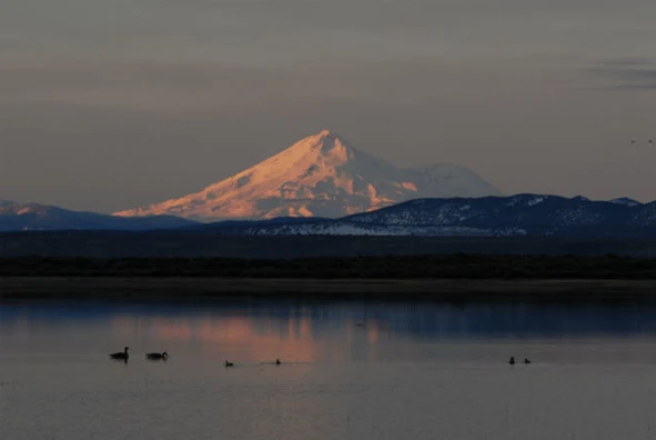 Иллюстрация к книге — Криминальные очерки. Книга 4 [book-illustration-23.webp]