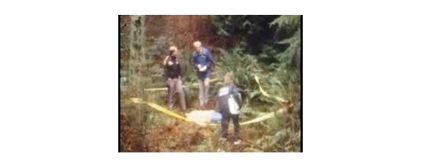 Иллюстрация к книге — Криминальные очерки. Книга 4 [book-illustration-24.webp]