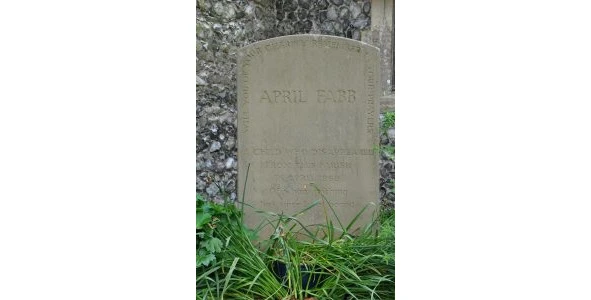 Иллюстрация к книге — Криминальные очерки. Книга III [book-illustration-48.webp]