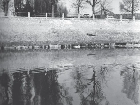 Иллюстрация к книге — Раздеватель. Хаммерсмитские убийства [book-illustration-24.webp]