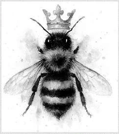 Иллюстрация к книге — Энтомология для слабонервных [book-illustration-2.webp]