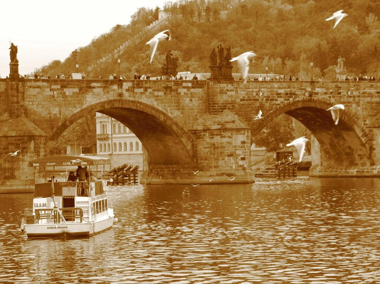 Иллюстрация к книге — Немного любви [book-illustration-21.webp]