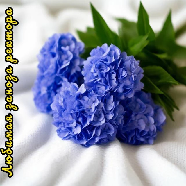 Иллюстрация к книге — Любимая заноза ректора. Огненный турнир [book-illustration-6.webp]