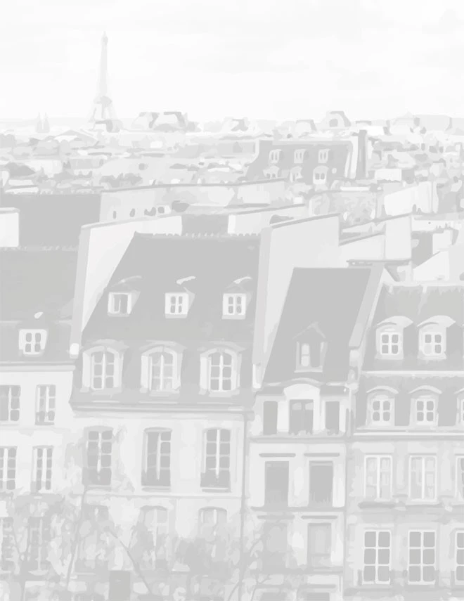 Иллюстрация к книге — Парижский роман [i_004.webp]